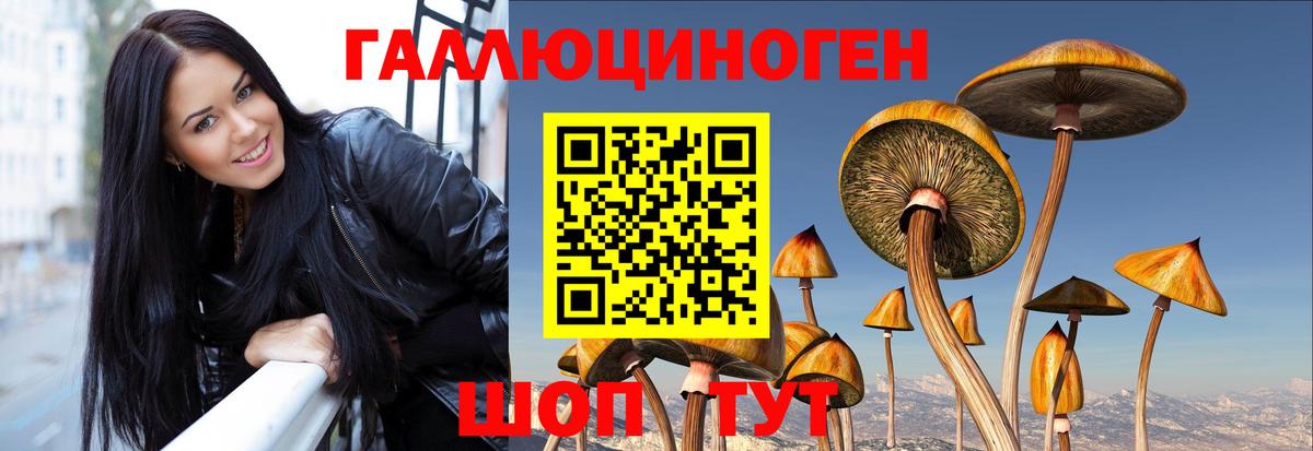 Галлюциногенные грибы ЛСД  Псилоцибиновые грибы MAGIC MUSHROOMS  Вход с VPN  Саров 